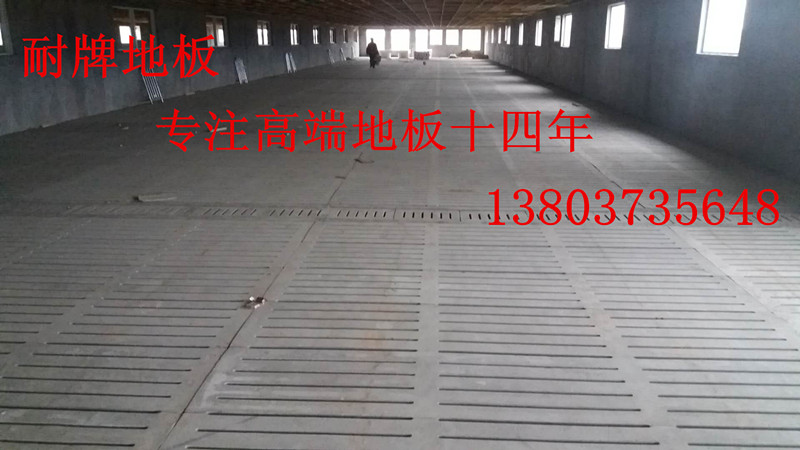 113394797859867751